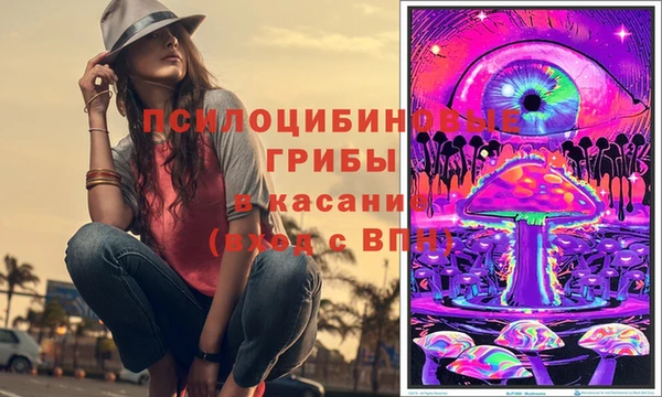 дурь Медвежьегорск