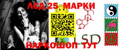 Альфа ПВП Апшеронск