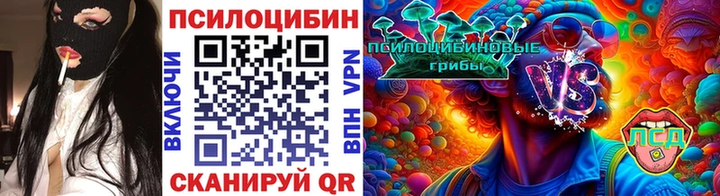 Псилоцибиновые грибы Psilocybine cubensis Назрань