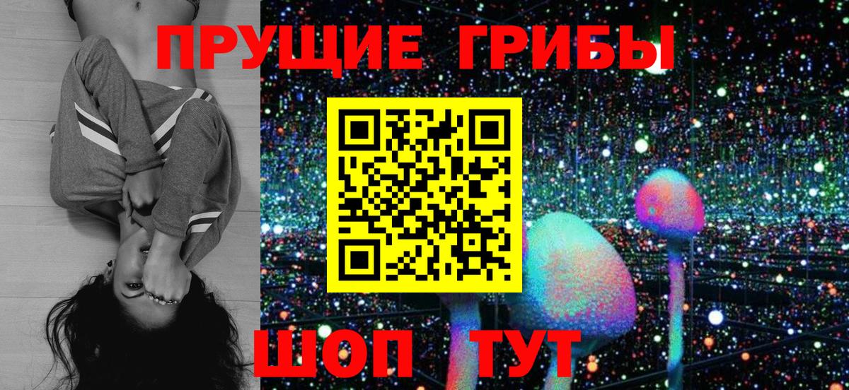 Назрань  Псилоцибиновые грибы мухоморы  Галлюциногенные грибы Psilocybine cubensis  Вход с VPN 